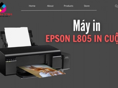 Máy in EPSON L805 in cuộn