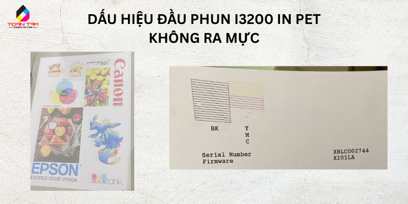 dấu hiệu đầu phun i3200 in pet không ra mực