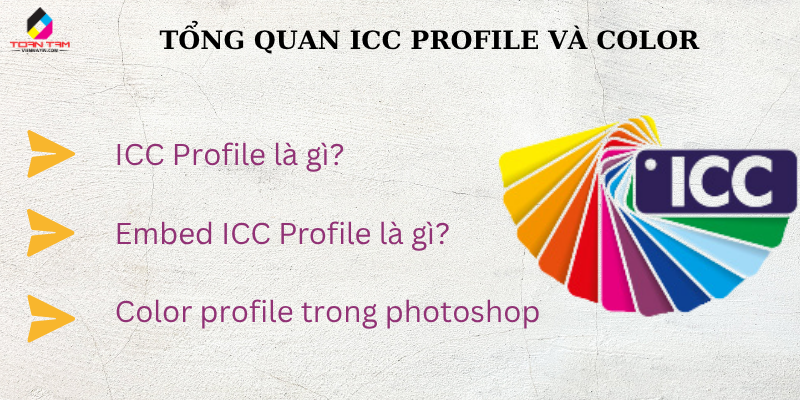 tổng quan icc profile